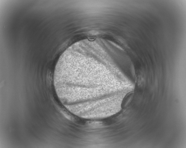 X0000065980476200603241944