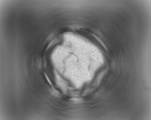 X0000065980477200603241944