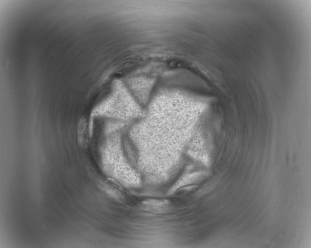 X0000065980480200603241944