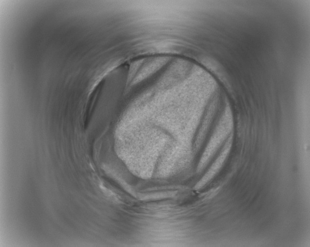 X0000065980481200603241943