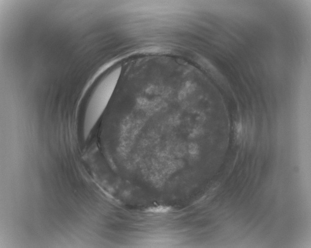 X0000065980484200603241943