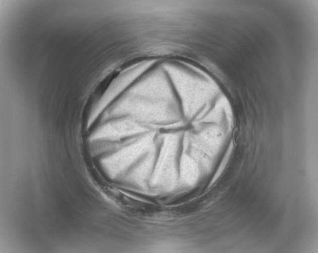 X0000065980485200603241943