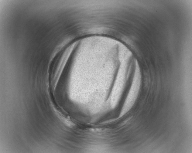 X0000065980486200603241943