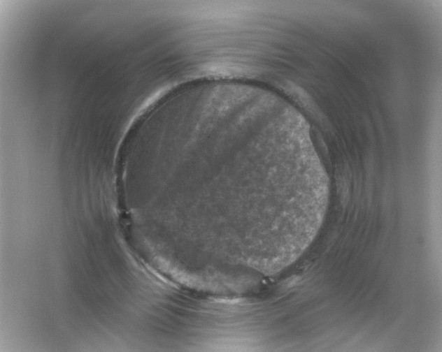 X0000065980488200603241943