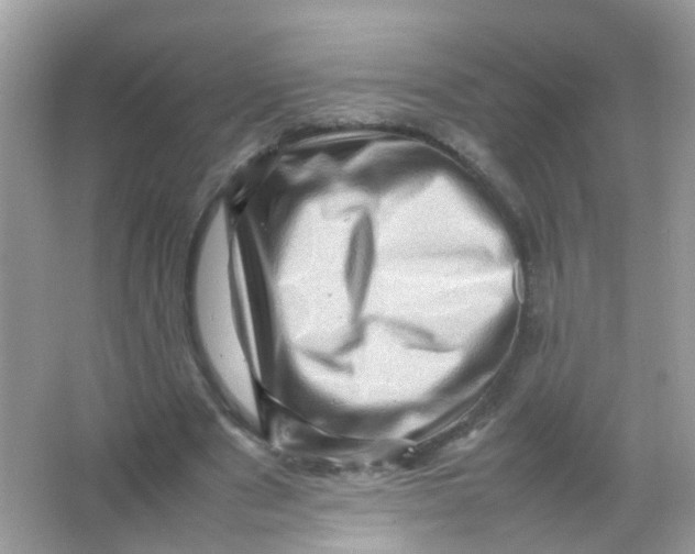 X0000065980489200603241943