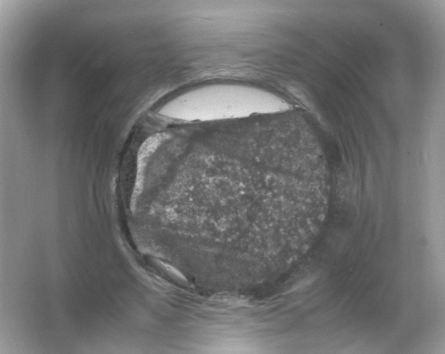 X0000065980491200603241943