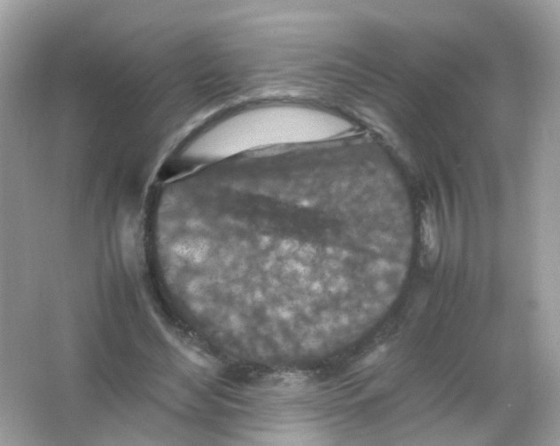 X0000065980492200603241943