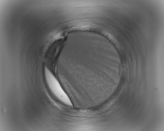 X0000065980493200603241943