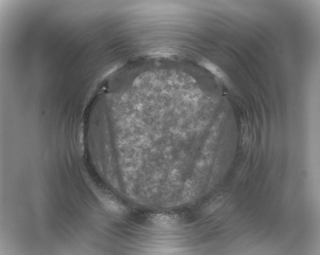 X0000065980494200603241943