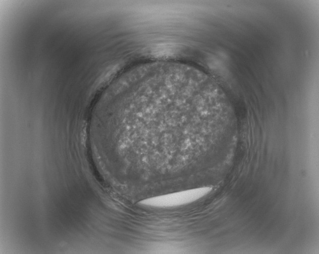 X0000065980495200603241943