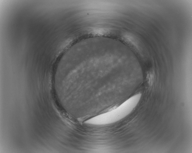 X0000065980496200603241943