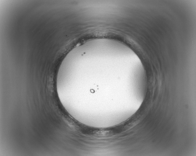 X0000065980497200603241943