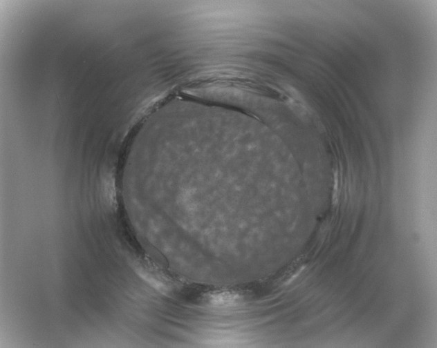 X0000065980500200603241943