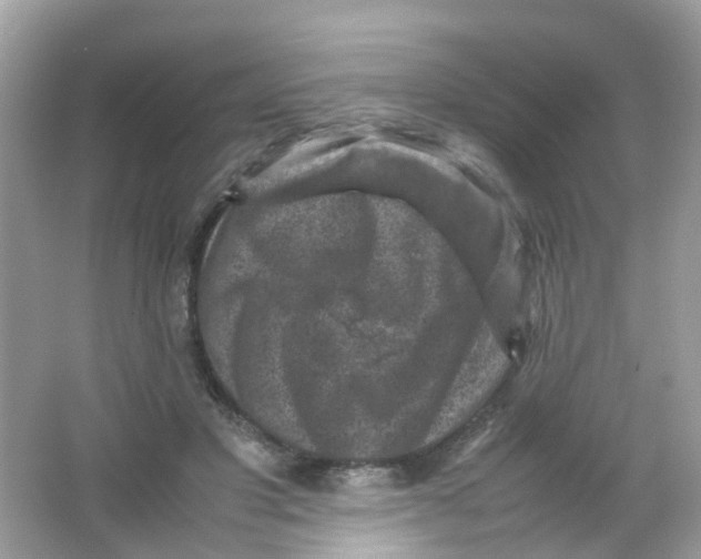 X0000065980501200603241943