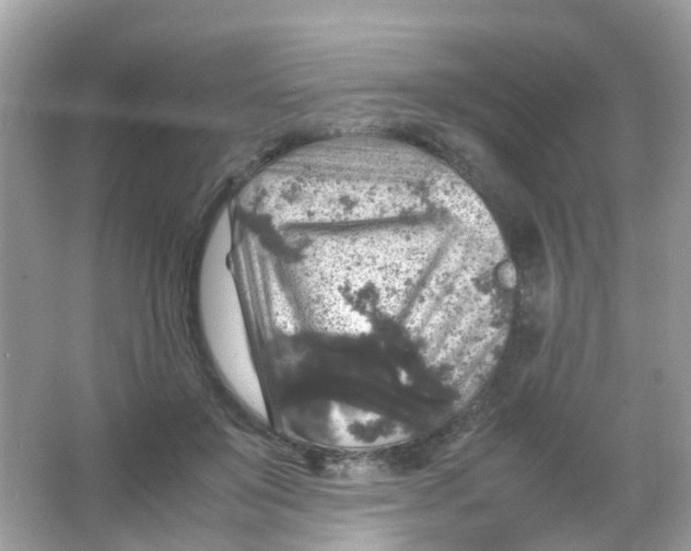 X0000065980503200603241943