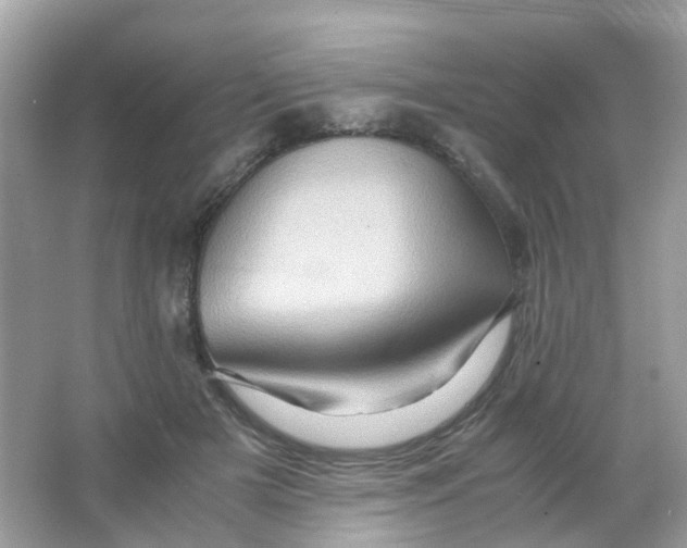 X0000065980505200603241943