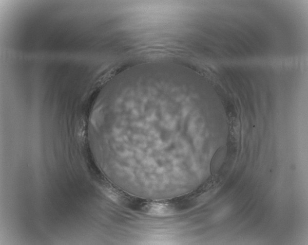 X0000065980507200603241943