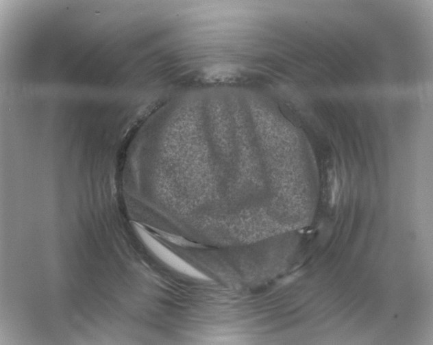 X0000065980508200603241943