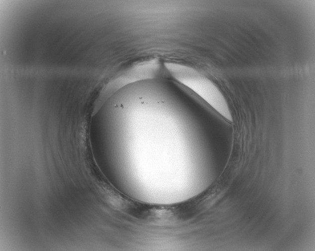 X0000065980509200603241943