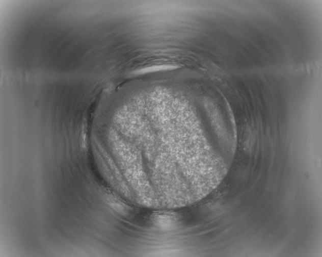 X0000065980510200603241943