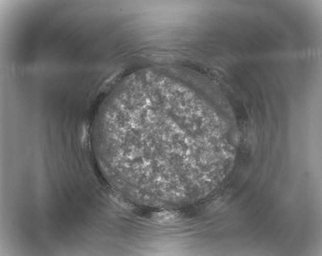 X0000065980511200603241943