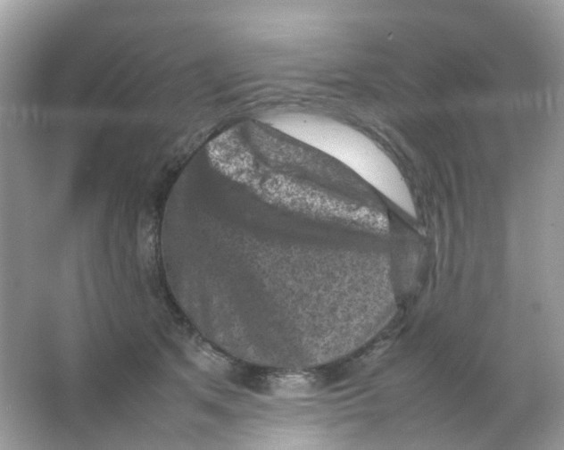 X0000065980513200603241943