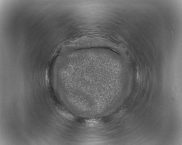 X0000065980516200603241943