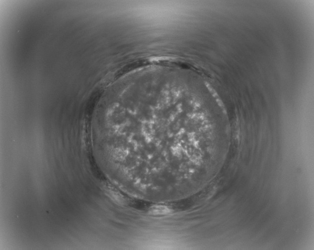 X0000065980519200603241943