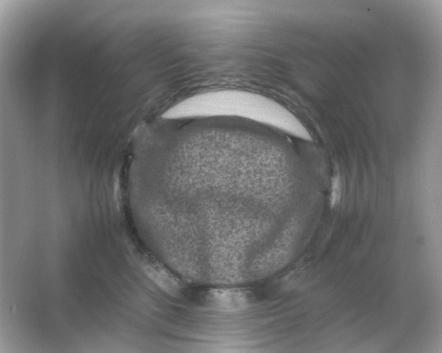 X0000065980520200603241943