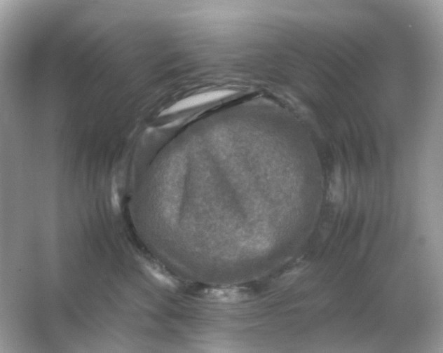 X0000065980524200603241943