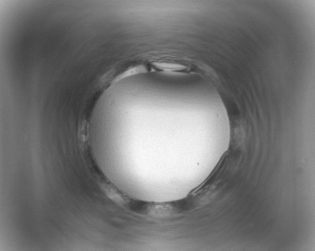 X0000065980525200603241943