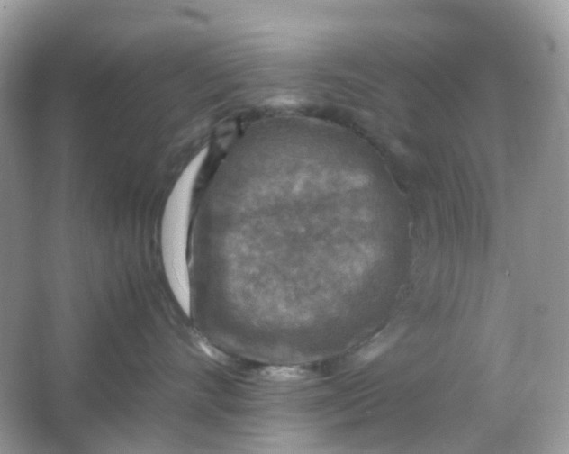 X0000065980528200603241943