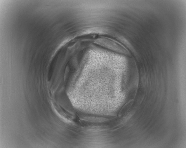 X0000065980530200603241942