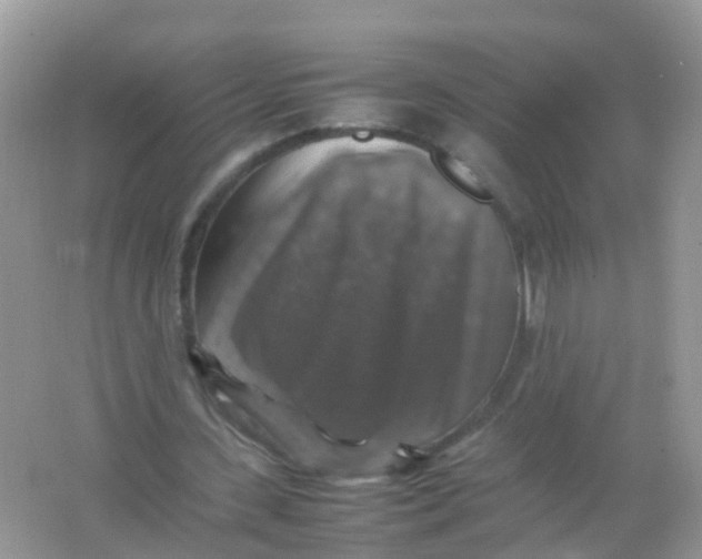 X0000065980531200603241942