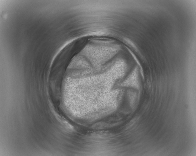 X0000065980532200603241942