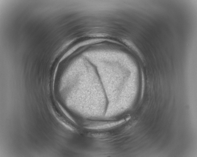 X0000065980533200603241942