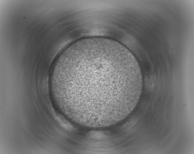 X0000065980534200603241942