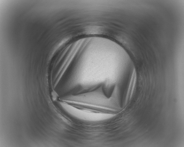 X0000065980535200603241942