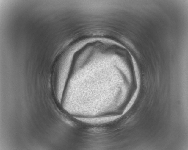 X0000065980537200603241942