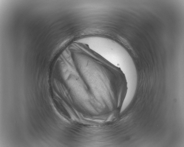 X0000065980538200603241942