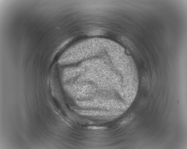 X0000065980539200603241942