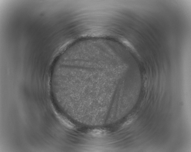 X0000065980542200603241942