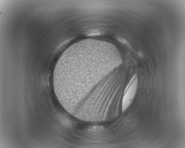 X0000065980543200603241942