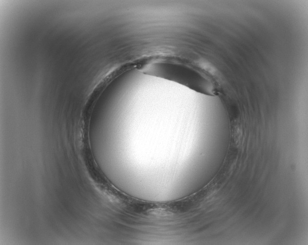 X0000065980544200603241942