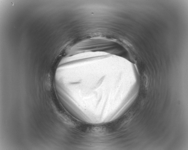 X0000065980546200603241942