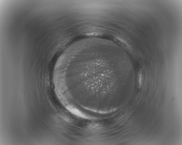 X0000065980547200603241942