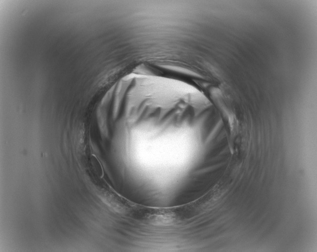 X0000065980548200603241942