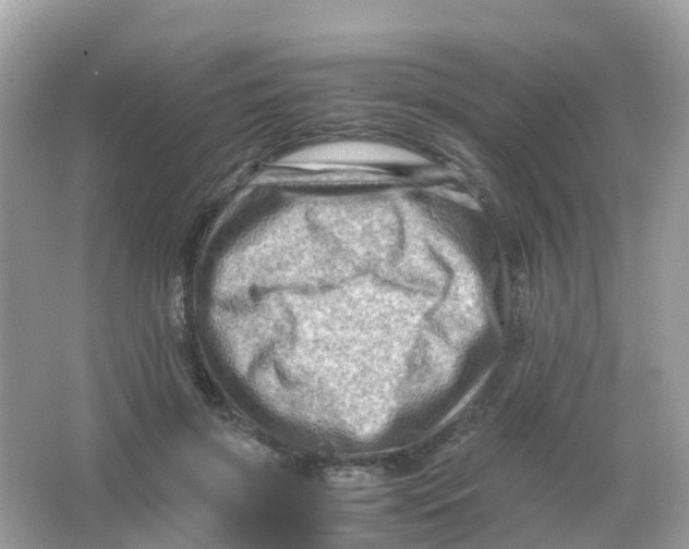 X0000065980549200603241942