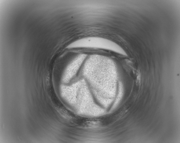 X0000065980552200603241942