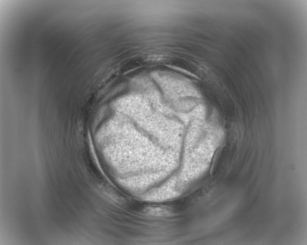 X0000065980557200603241942